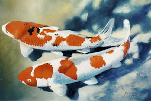 0046_SPlendid_Koi.jpg