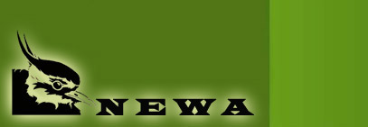 NEWA.jpg
