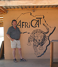 africat_001.jpg