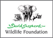 dswf_new_logo1.jpg