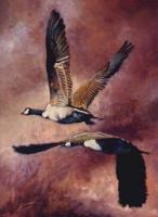 Birds,Bird,Oil painting,Canadian Geese
