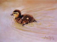 Birds,Bird,Oil painting,Mallard Chick,British Bird