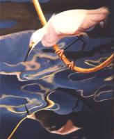 Birds,Bird,Oil painting,Snowy Egret,USA