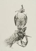 Birds,Bird,Oil painting,Falcon,Lanner