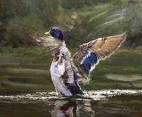 Birds,Bird,Oil painting,British Bird,Sporting Art,Mallard