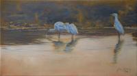 Birds,Bird,Oil painting,Egrets,Africa,African,Evening,Sun