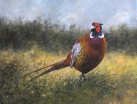 Birds,Bird,Oil painting,Pheasant,Sporting Art,British Bird,Game