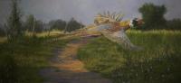 Birds,Bird,Oil painting,Pheasant,British Bird,Game Bird,Sporting