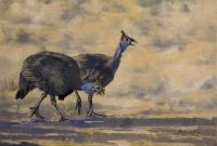 Birds,Bird,Oil painting,Guineafowl,Africa