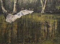 Birds,Bird,Oil painting,Great White Egret,Everglades,Florida