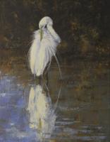 Birds,Bird,Oil painting,Snowy Egret,Everglades Florida