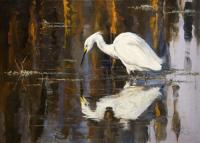 Birds,Bird,Oil painting,Great White Egret,Everglades Florida