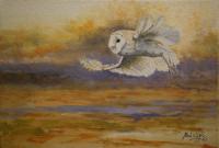 Birds,Bird,Oil painting,Barn Owl,Raptor