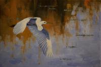 Birds,Bird,Oil painting,Great White Egret,Florida
