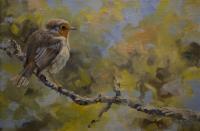 Birds,Bird,Oil painting,Robin,British Bird