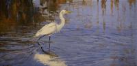 Birds,Bird,Oil painting,Great White Egret,Florida
