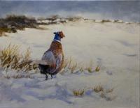 Birds,Bird,Oil painting,Game Bird,Pheasant