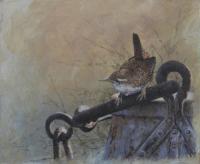 Birds,Bird,Oil painting,Wren,British Bird
