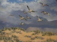 Birds,Bird,Oil painting,Herring Gulls,British Bird