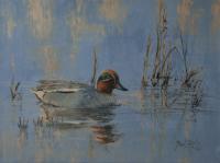 Teal,Wildfowl,Oil Painting,Wildlife Art
