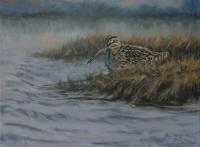 Oil painting,Paul Apps,Snipe