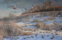 Oil painting,Sporting,Pheasants,Paul Apps