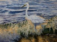 Oil painting,Paul Apps,Snowy Egret