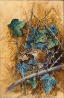 Birds,Bird,Oil painting,Wren,British Bird