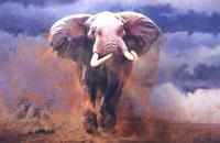 Africa,African,Big game,Elephant,Oil Painting,