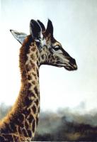 Africa,African,Giraffe,Big game,Oil Painting,