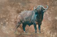 Africa,African,Cape Buffalo,Big game,Oil Painting,