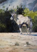 Africa,African,Big game,Gemsbok,Hoanib River,Oil Painting,
