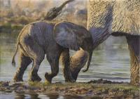 Africa,African,Big game,Oil Painting,