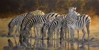 Africa,African,Big game,Zebra,Waterhole,Oil Painting,