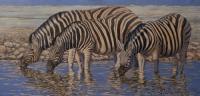 Africa,African,Big game,Zebra,Etosha,waterhole,Oil Painting,