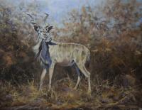 Africa,African,Kudu,Etosha,Big game,Oil Painting,