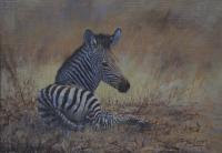 Africa,African,Zebra,Big game,Oil Painting,