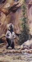 USA,America,Bear,Oil painting,Grizzley
