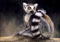 Lemur, Oil painting