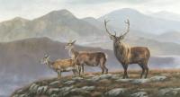 Red Deer,British,Sporting Art,Oil painting,Highlands