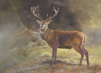 Red Deer,British,Sporting Art,Oil painting,Highlands
