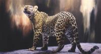 Big Cats,Predators,Oil Painting, Feline,
