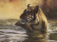 Big Cats,Predators,Oil Painting, Feline,