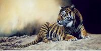Big Cats,Predators,Oil Painting, Feline,
