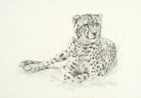 Big Cats,Predators,Oil Painting, Feline,