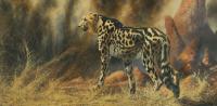 Big Cats,Africa,King Cheetah,Predators,Oil Painting, Feline,