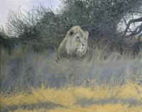 Big Cats,Predators,Oil Painting, Feline,