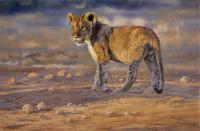 Africa,Lion,Big Cats,Predators,Oil Painting, Feline,