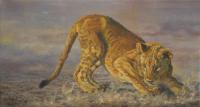 Africa,Lion,Big Cats,Predators,Oil Painting, Feline,