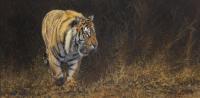Africa,Lion,Big Cats,Predators,Oil Painting, Feline,